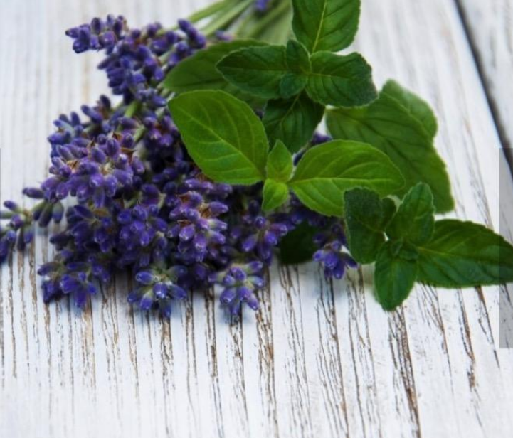 Eir Naturals
