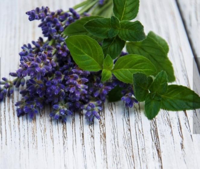 Eir Naturals